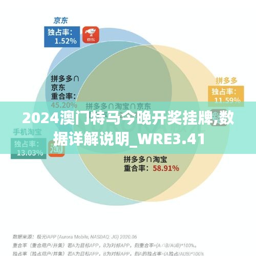 2024澳門特馬今晚開獎(jiǎng)掛牌,數(shù)據(jù)詳解說明_WRE3.41