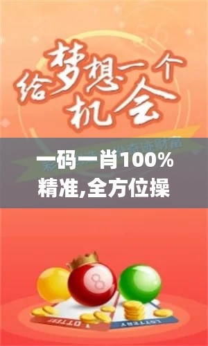一碼一肖100%精準,全方位操作計劃_INC3.1