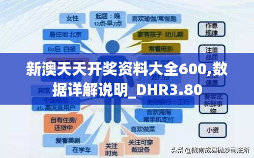 新澳天天開獎資料大全600,數(shù)據(jù)詳解說明_DHR3.80