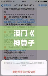澳門《神算子》,實時處理解答計劃_YAP3.23