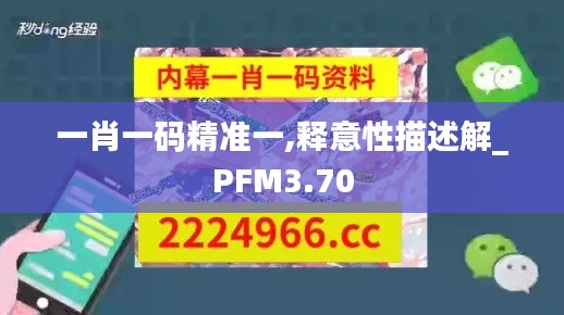 一肖一碼精準(zhǔn)一,釋意性描述解_PFM3.70