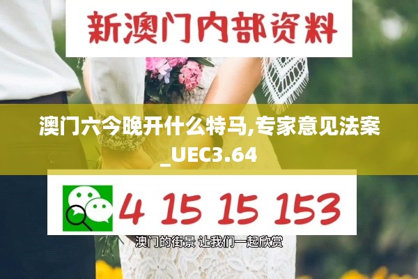 澳門六今晚開什么特馬,專家意見法案_UEC3.64