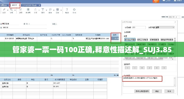 管家婆一票一碼100正確,釋意性描述解_SUJ3.85