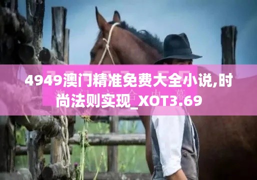 4949澳門精準(zhǔn)免費(fèi)大全小說,時(shí)尚法則實(shí)現(xiàn)_XOT3.69