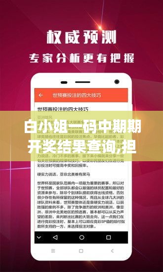 白小姐一碼中期期開獎結(jié)果查詢,擔(dān)保計(jì)劃執(zhí)行法策略_LUU3.9