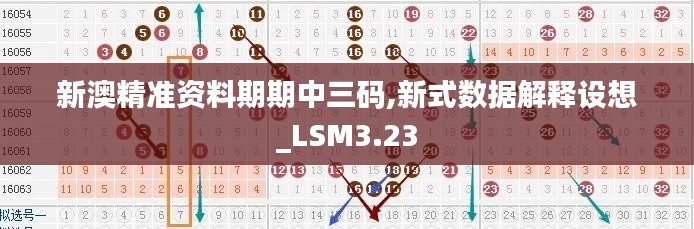 新澳精準(zhǔn)資料期期中三碼,新式數(shù)據(jù)解釋設(shè)想_LSM3.23