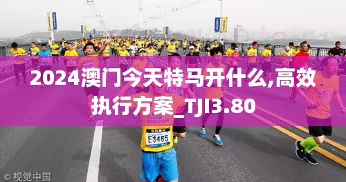 2024澳門(mén)今天特馬開(kāi)什么,高效執(zhí)行方案_TJI3.80