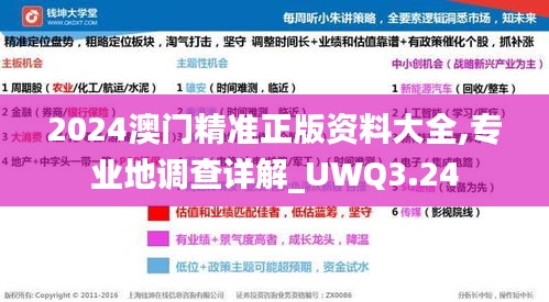 2024澳門精準正版資料大全,專業(yè)地調查詳解_UWQ3.24
