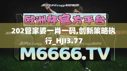 202管家婆一肖一碼,創(chuàng)新策略執(zhí)行_HJI3.77