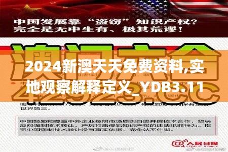 2024新澳天天免費資料,實地觀察解釋定義_YDB3.11