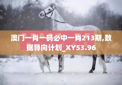 澳門一肖一碼必中一肖213期,數(shù)據(jù)導(dǎo)向計劃_XYS3.96