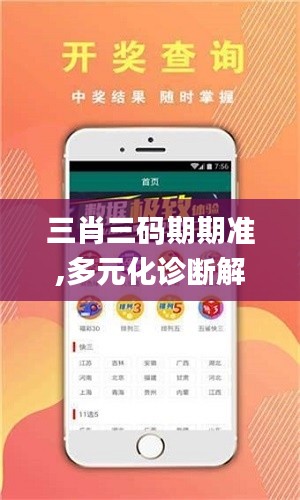 三肖三碼期期準(zhǔn),多元化診斷解決_SRX3.53