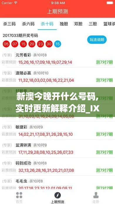 新澳今晚開什么號碼,實時更新解釋介紹_IXG3.73