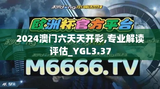 2024澳門六天天開彩,專業(yè)解讀評估_YGL3.37