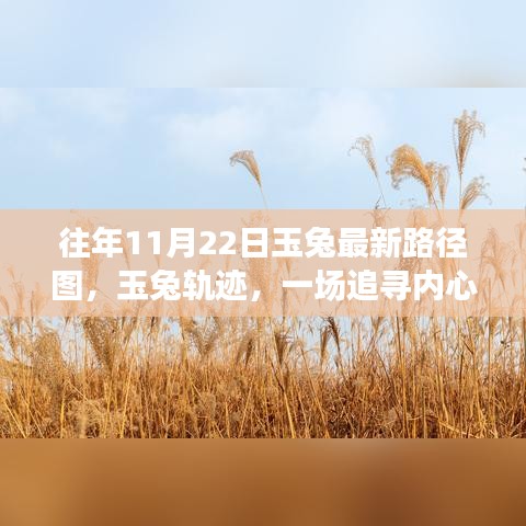 秋日奇幻之旅，追尋玉兔軌跡，探尋內(nèi)心平靜之旅