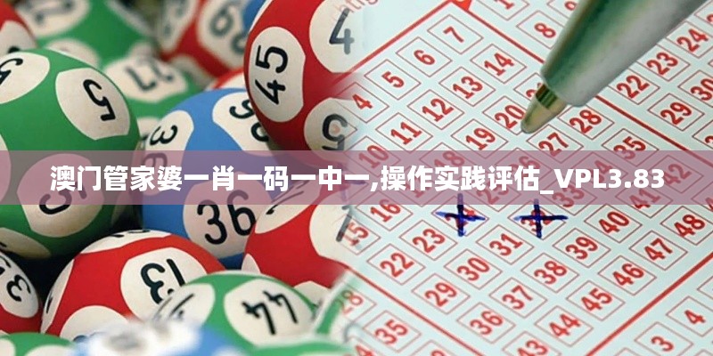 澳門管家婆一肖一碼一中一,操作實(shí)踐評(píng)估_VPL3.83