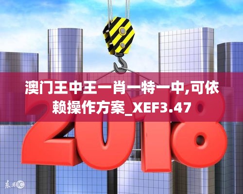 澳門王中王一肖一特一中,可依賴操作方案_XEF3.47