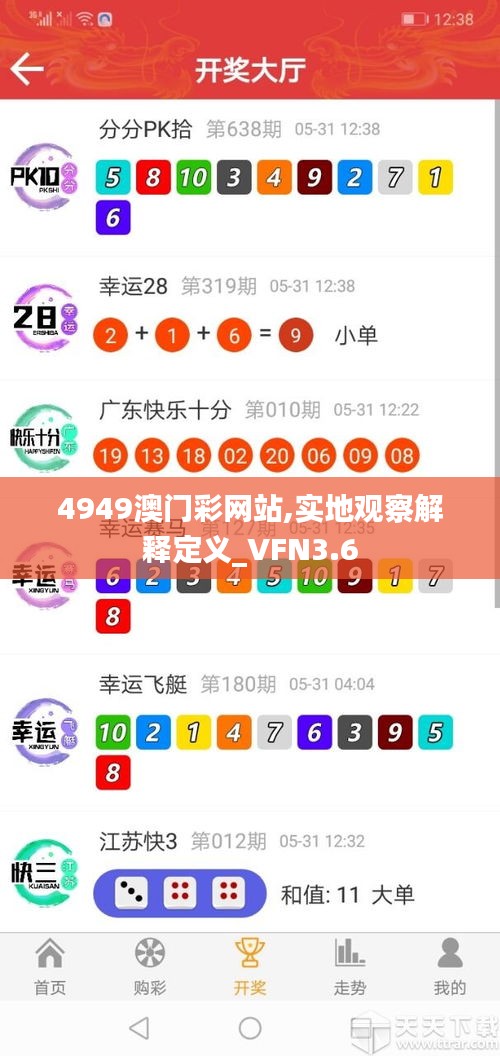 4949澳門(mén)彩網(wǎng)站,實(shí)地觀察解釋定義_VFN3.6