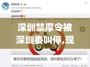 深圳禁摩令被深圳委叫停,現(xiàn)代化解析定義_FPZ3.45