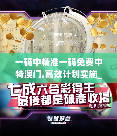 一碼中精準一碼免費中特澳門,高效計劃實施_QQJ3.49