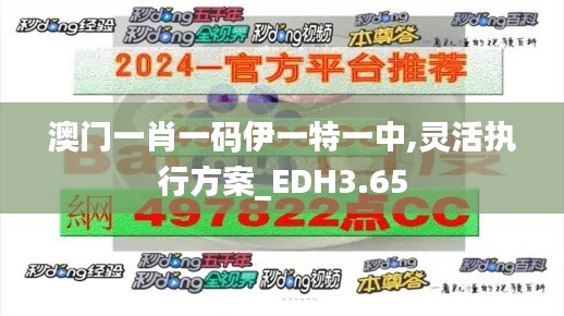 澳門一肖一碼伊一特一中,靈活執(zhí)行方案_EDH3.65