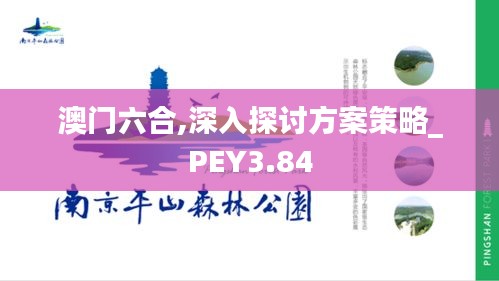 澳門六合,深入探討方案策略_PEY3.84