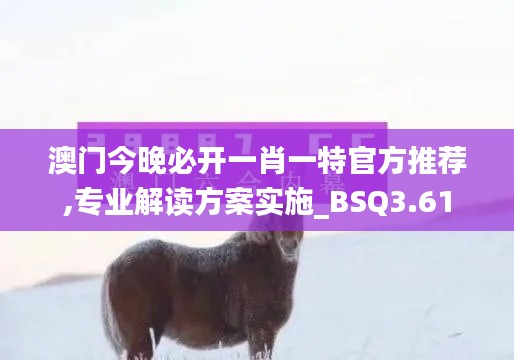 澳門今晚必開一肖一特官方推薦,專業(yè)解讀方案實(shí)施_BSQ3.61