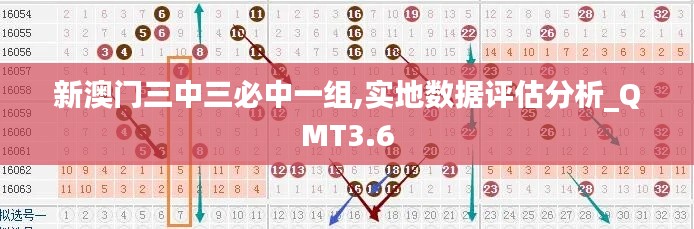 新澳門(mén)三中三必中一組,實(shí)地?cái)?shù)據(jù)評(píng)估分析_QMT3.6