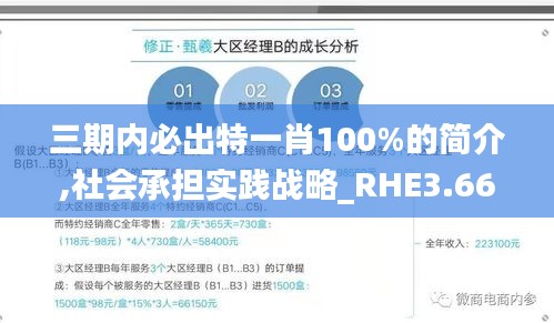 三期內(nèi)必出特一肖100%的簡(jiǎn)介,社會(huì)承擔(dān)實(shí)踐戰(zhàn)略_RHE3.66