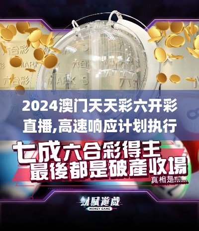 2024澳門天天彩六開彩直播,高速響應(yīng)計(jì)劃執(zhí)行_GWR3.69