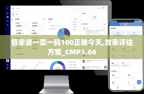 管家婆一票一碼100正確今天,效率評估方案_CMP3.66