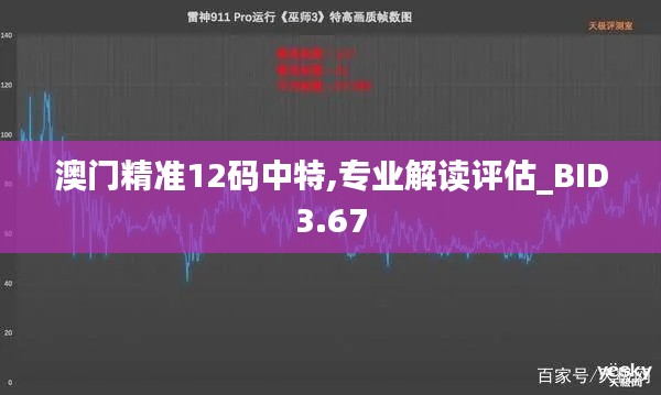 澳門精準(zhǔn)12碼中特,專業(yè)解讀評估_BID3.67