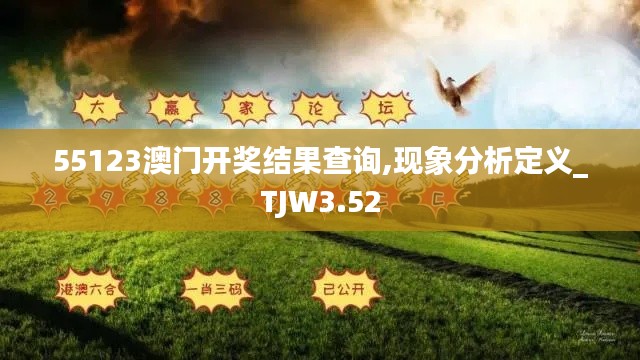 55123澳門(mén)開(kāi)獎(jiǎng)結(jié)果查詢,現(xiàn)象分析定義_TJW3.52