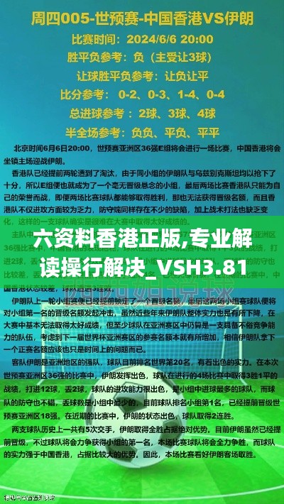 六資料香港正版,專業(yè)解讀操行解決_VSH3.81