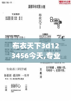 布衣天下3d123456今天,專(zhuān)業(yè)調(diào)查具體解析_CQQ3.5