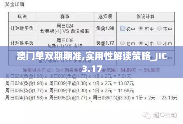 澳門單雙期期準(zhǔn),實(shí)用性解讀策略_JIC3.17