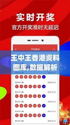 王中王香港資料圖庫,數(shù)據(jù)解析引導_KSY3.19