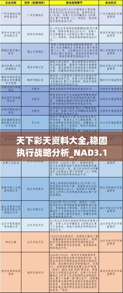 天下彩天資料大全,穩(wěn)固執(zhí)行戰(zhàn)略分析_NAD3.15