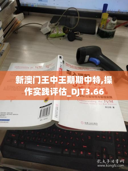 新澳門王中王期期中特,操作實踐評估_DJT3.66