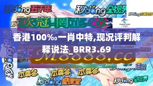 香港100‰一肖中特,現(xiàn)況評判解釋說法_BRR3.69