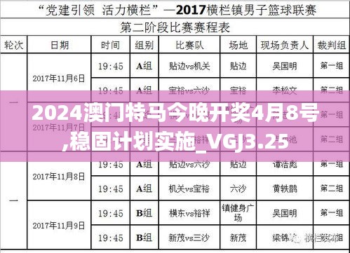 2024澳門特馬今晚開獎4月8號,穩(wěn)固計劃實施_VGJ3.25
