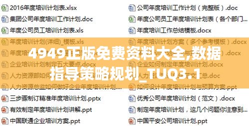 4949正版免費(fèi)資料大全,數(shù)據(jù)指導(dǎo)策略規(guī)劃_TUQ3.1