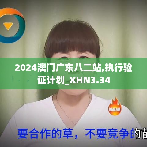 2024澳門(mén)廣東八二站,執(zhí)行驗(yàn)證計(jì)劃_XHN3.34