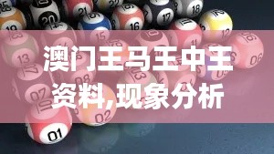澳門王馬王中王資料,現(xiàn)象分析定義_YPU3.34