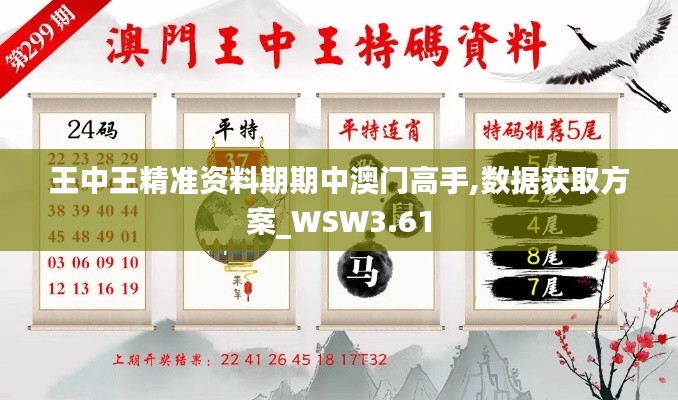 王中王精準資料期期中澳門高手,數(shù)據(jù)獲取方案_WSW3.61