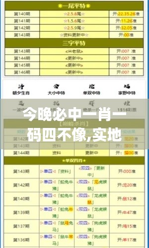 今晚必中一肖一碼四不像,實(shí)地驗(yàn)證策略具體_NAY3.51