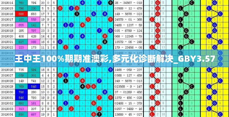 王中王100%期期準(zhǔn)澳彩,多元化診斷解決_GBY3.57
