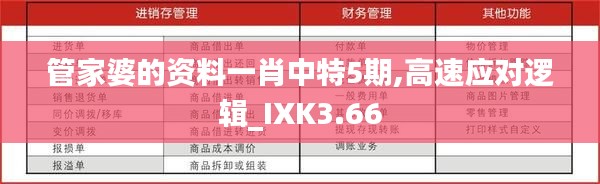 管家婆的資料一肖中特5期,高速應(yīng)對邏輯_IXK3.66