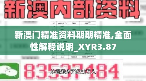 新澳門(mén)精準(zhǔn)資料期期精準(zhǔn),全面性解釋說(shuō)明_XYR3.87