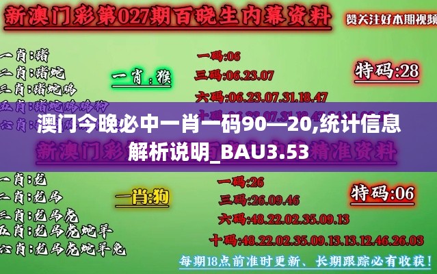 澳門(mén)今晚必中一肖一碼90—20,統(tǒng)計(jì)信息解析說(shuō)明_BAU3.53